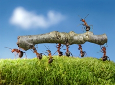 persistence
